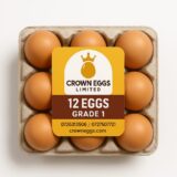 The Breakfast Starter (12 Pack)